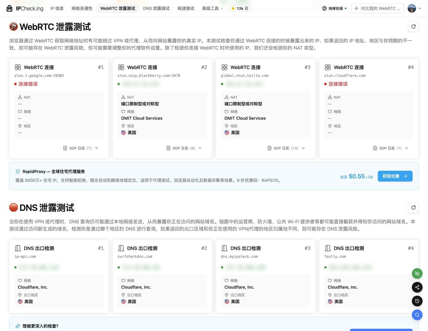 IPCheck 完整窗口，公网 IP 与 DNS 地址使用网站原生打码